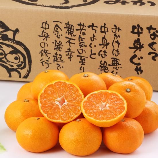 <img class='new_mark_img1' src='https://img.shop-pro.jp/img/new/icons61.gif' style='border:none;display:inline;margin:0px;padding:0px;width:auto;' />ޤߤ󣱣