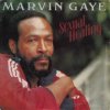 <img class='new_mark_img1' src='https://img.shop-pro.jp/img/new/icons47.gif' style='border:none;display:inline;margin:0px;padding:0px;width:auto;' />MARVIN GAYE / SEXUAL HEALING(7)