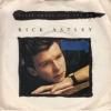 <img class='new_mark_img1' src='https://img.shop-pro.jp/img/new/icons47.gif' style='border:none;display:inline;margin:0px;padding:0px;width:auto;' />RICK ASTLEY / NEVER GONNA GIVE YOU UP(7)