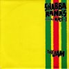 <img class='new_mark_img1' src='https://img.shop-pro.jp/img/new/icons47.gif' style='border:none;display:inline;margin:0px;padding:0px;width:auto;' />SHABBA RANKS FEATURING KRS-1 / THE JAM(7)