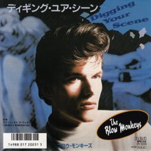 BLOW MONKEYS / DIGGING YOUR SCENE(7インチ) - SLAP LOVER