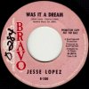 <img class='new_mark_img1' src='https://img.shop-pro.jp/img/new/icons47.gif' style='border:none;display:inline;margin:0px;padding:0px;width:auto;' />JESSE LOPEZ / WAS IT A DREAM(7)