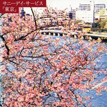 SUNNY DAY SERVICE / 東京 20TH ANNIVERSARY BOX(LP+7インチ×2枚+CD×2