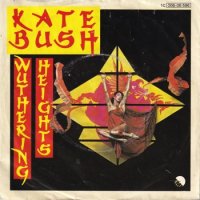 KATE BUSH / WUTHERING HEIGHTS(7)