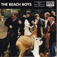 BEACH BOYS / I JUST WASN'T MADE FOR THESE TIMES (STEREO MIX)(7)