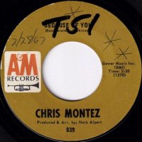 CHRIS MONTEZ / BECAUSE OF YOU(7)