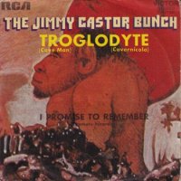 JIMMY CASTOR BUNCH / TROGLODYTE (CAVE MAN)(7)