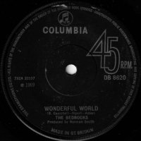 BEDROCKS / WONDERFUL WORLD(7)