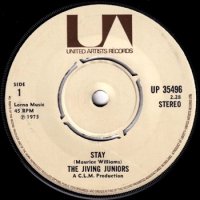 JIVING JUNIORS / STAY(7)