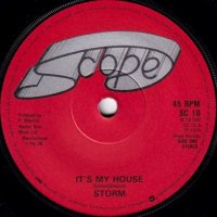 STORM / IT'S MY HOUSE(7)