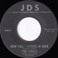 VIDELS / NOW THAT SUMMER IS HERE(7)