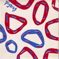 PIGBAG / SUNNY DAY(7)