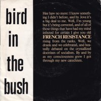 BIRD IN THE BUSH / I FELL LIKE ROME(7)