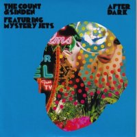 COUNT & SINDEN FEAT. MYSTERY JETS / AFTER DARK(7)