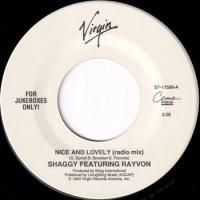 HIP HOP/R&B - SLAP LOVER RECORD オールジャンル＆オールタイム