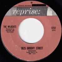 WILDCATS / 3625 GROOVY STREET(7)