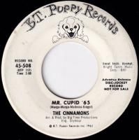 CINNAMONS / MR. CUPID '65 / DANCE TO THE MUSIC(7)