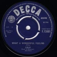LULU / WHAT A WONDERFUL FEELING(7)