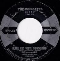 DELICATES / BLACK AND WHITE THUNDERBIRD(7)
