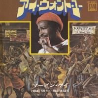 MARVIN GAYE / I WANT YOU(7)