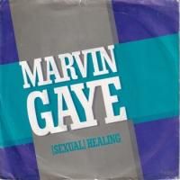 MARVIN GAYE / (SEXUAL) HEALING(7)