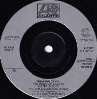 SISTER SLEDGE / THINKING OF YOU(7�����)