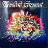 <img class='new_mark_img1' src='https://img.shop-pro.jp/img/new/icons47.gif' style='border:none;display:inline;margin:0px;padding:0px;width:auto;' />TRINIDAD STEEL BAND/TRINIDAD CARNIVAL(LP)