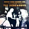 <img class='new_mark_img1' src='https://img.shop-pro.jp/img/new/icons47.gif' style='border:none;display:inline;margin:0px;padding:0px;width:auto;' />RUDE BOYS / SKA FEVER(10)