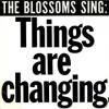 <img class='new_mark_img1' src='https://img.shop-pro.jp/img/new/icons47.gif' style='border:none;display:inline;margin:0px;padding:0px;width:auto;' />BLOSSOMS / THINGS ARE CHANGING.(7)