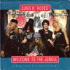 <img class='new_mark_img1' src='https://img.shop-pro.jp/img/new/icons47.gif' style='border:none;display:inline;margin:0px;padding:0px;width:auto;' />GUNS N' ROSES / WELCOME TO THE JUNGLE (7)