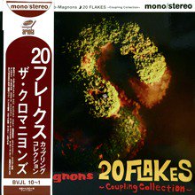 クロマニヨンズ 20FLAKES レコード-