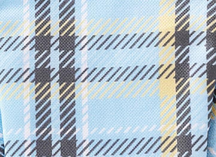 ž夬꼡ȯҥȥѥåȡ0172祻å