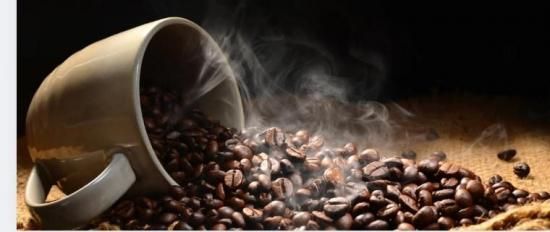 �ڹ�ƣ����22ǯ�ۺ߸˸¤�����̲��ʥ����ҡ����å�<img class='new_mark_img2' src='https://img.shop-pro.jp/img/new/icons20.gif' style='border:none;display:inline;margin:0px;padding:0px;width:auto;' />