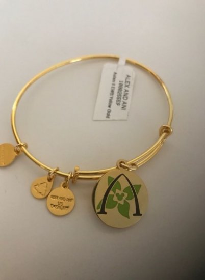 ディズニー アウラニ ハワイ Alex and Ani ゴールド ブレスレット - ディズニーフィギュア・グッズ通販店舗 ディズニーコレクション