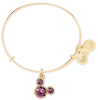 Disney Mickey Mouse Birthstone Bangle by Alex and Ani February Gold Finish