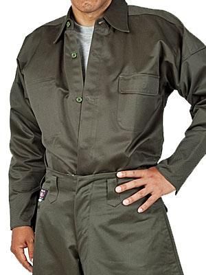 87433611.jpg?cmsp_timestamp=