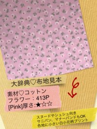 616[Pink]åȥ򾮲()ץ