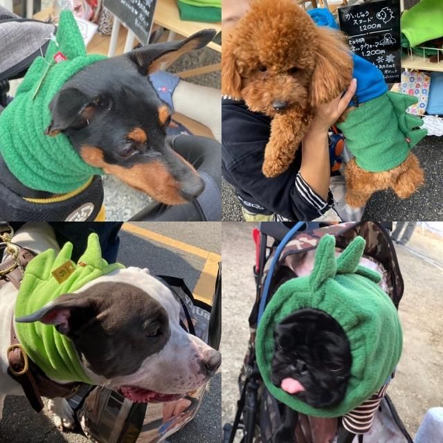 <img class='new_mark_img1' src='https://img.shop-pro.jp/img/new/icons30.gif' style='border:none;display:inline;margin:0px;padding:0px;width:auto;' />ڼ11Ϥۤ夦̡ɡ缭ŵ.comꥸʥ롦äե꡼̡