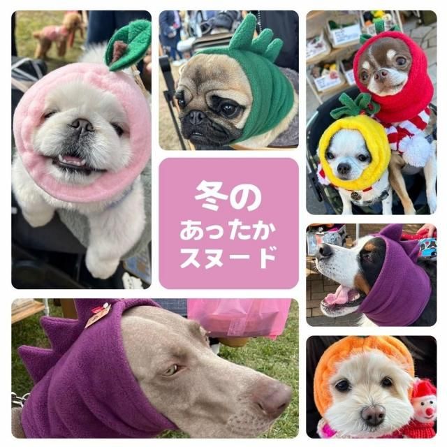 <img class='new_mark_img1' src='https://img.shop-pro.jp/img/new/icons30.gif' style='border:none;display:inline;margin:0px;padding:0px;width:auto;' />ڼ11Ϥۤ夦̡ɡ缭ŵ.comꥸʥ롦äե꡼̡