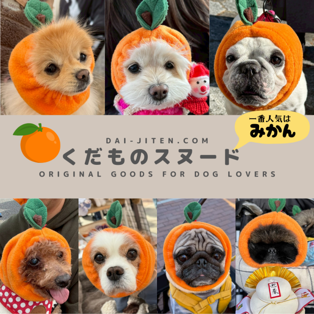 <img class='new_mark_img1' src='https://img.shop-pro.jp/img/new/icons25.gif' style='border:none;display:inline;margin:0px;padding:0px;width:auto;' />ڼXmasޤǤˤϤۤΥ̡ɡ缭ŵ.comꥸʥ롦äե꡼̡