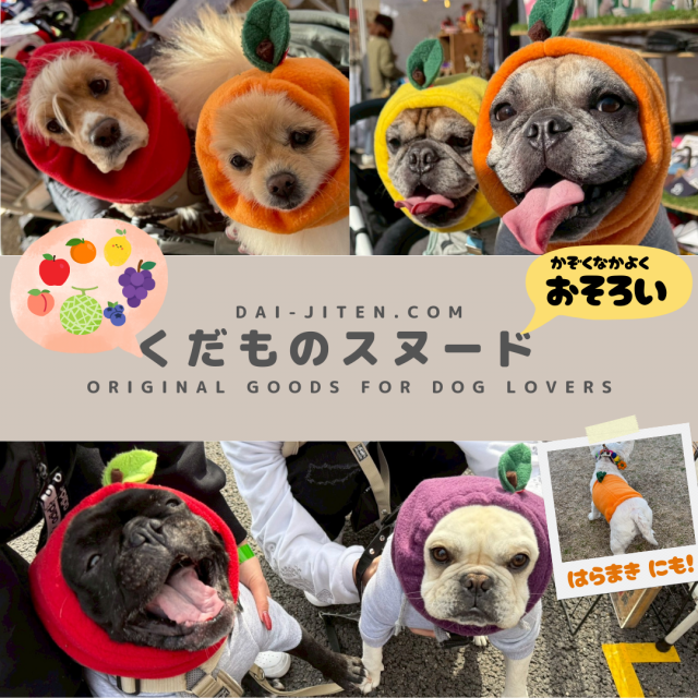 <img class='new_mark_img1' src='https://img.shop-pro.jp/img/new/icons25.gif' style='border:none;display:inline;margin:0px;padding:0px;width:auto;' />ڼXmasޤǤˤϤۤΥ̡ɡ缭ŵ.comꥸʥ롦äե꡼̡