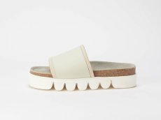 hender scheme  WOMEN / caterpiller<img class='new_mark_img2' src='https://img.shop-pro.jp/img/new/icons47.gif' style='border:none;display:inline;margin:0px;padding:0px;width:auto;' />
