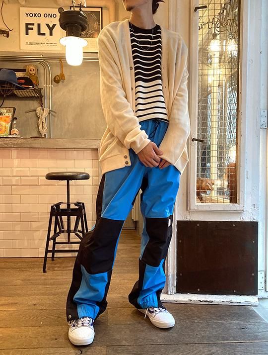 THE NORTH FACE 1994 RETRO MOUNTAIN LIGHT FUTURELIGHT PANTS（海外