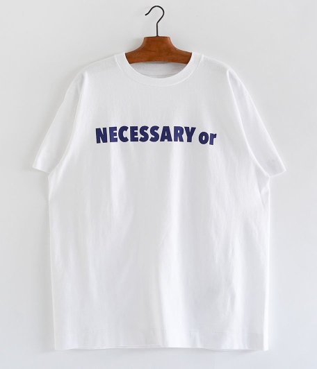  NECESSARY or UNNECESSARY NOUN [WHITE]