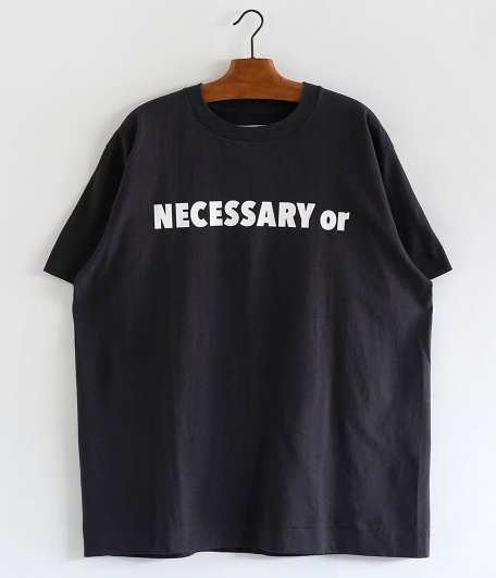  NECESSARY or UNNECESSARY NOUN [BLACK]