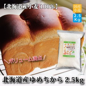 【北海道産】ゆめちから100％ パン用強力粉2.5ｋｇ