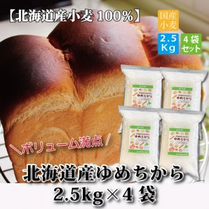 【北海道産】ゆめちから100％ パン用強力粉2.5ｋｇ×4袋