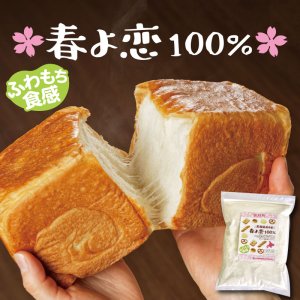 【北海道産】春よ恋100％ パン用強力粉 1ｋｇ