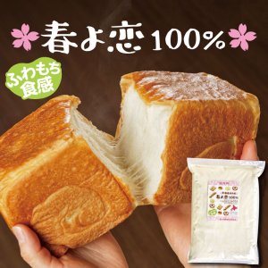 【北海道産】春よ恋100％ パン用強力粉 2.5ｋｇ