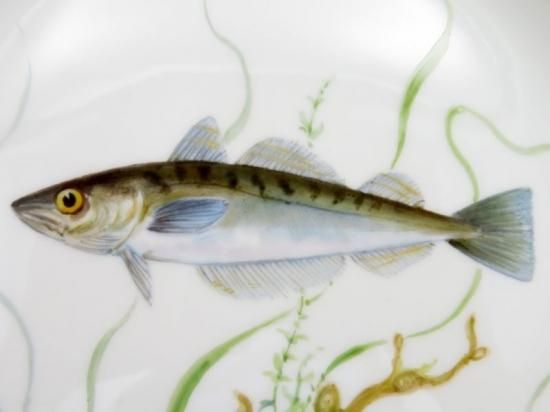 ロイヤルコペンハーゲン プレート□ファウナダニカ フローラ